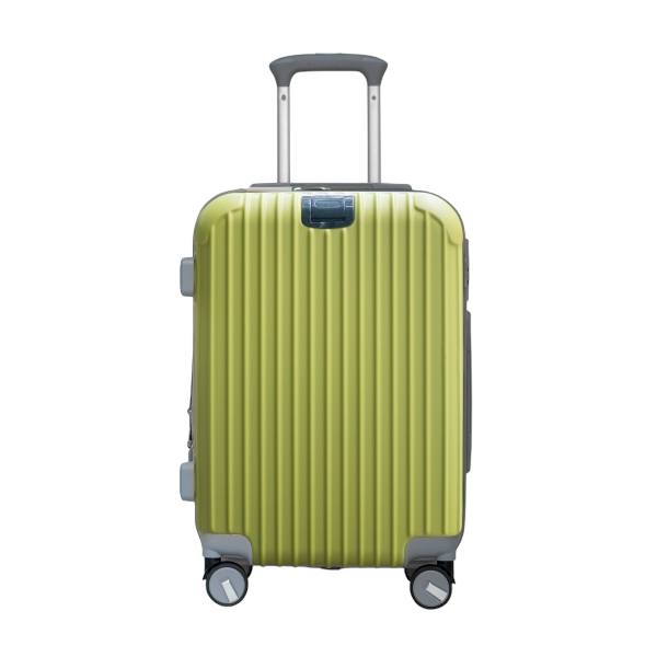 Luggage Expandable Hardside Spinner wheel Luggage U221 - Avocado